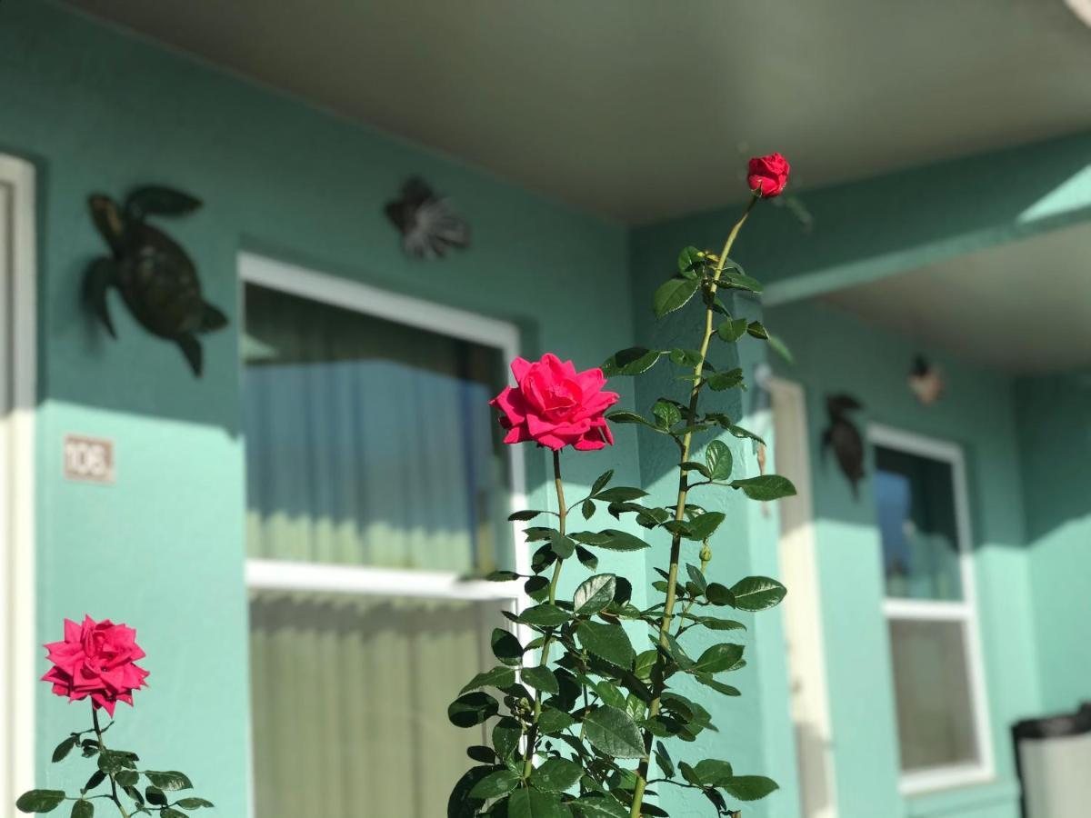 Motel Immokalee Inn Immokalee